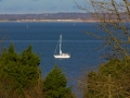 annies-b-and-b-east-cowes-24
